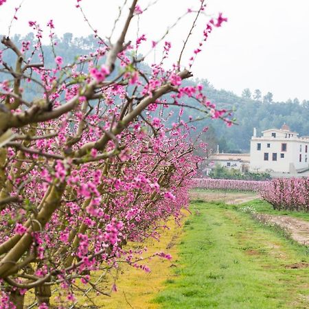 Hotel Rural Mas De L'Illa Tivissa Dış mekan fotoğraf