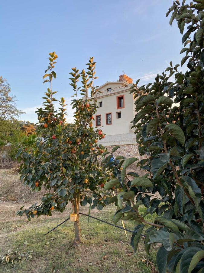 Hotel Rural Mas De L'Illa Tivissa Dış mekan fotoğraf