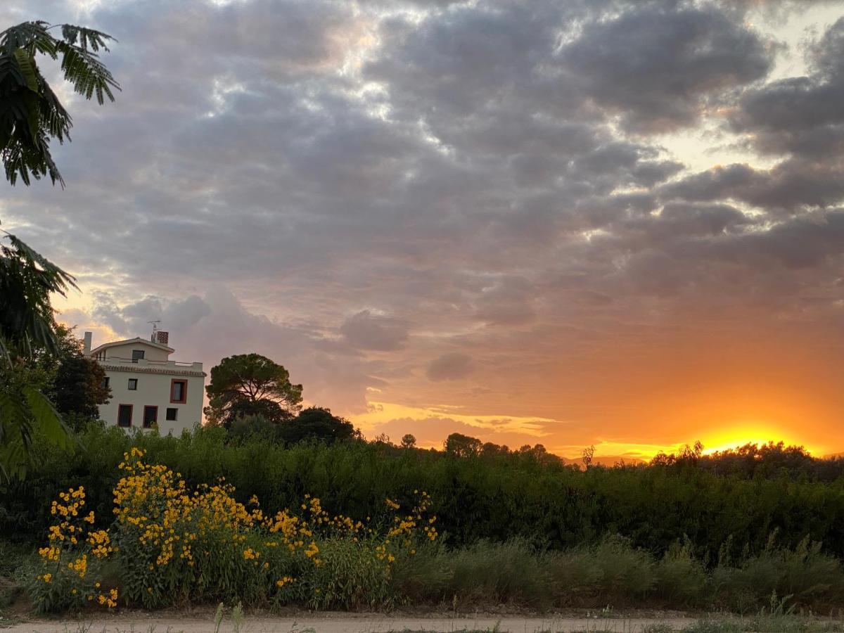 Hotel Rural Mas De L'Illa Tivissa Dış mekan fotoğraf