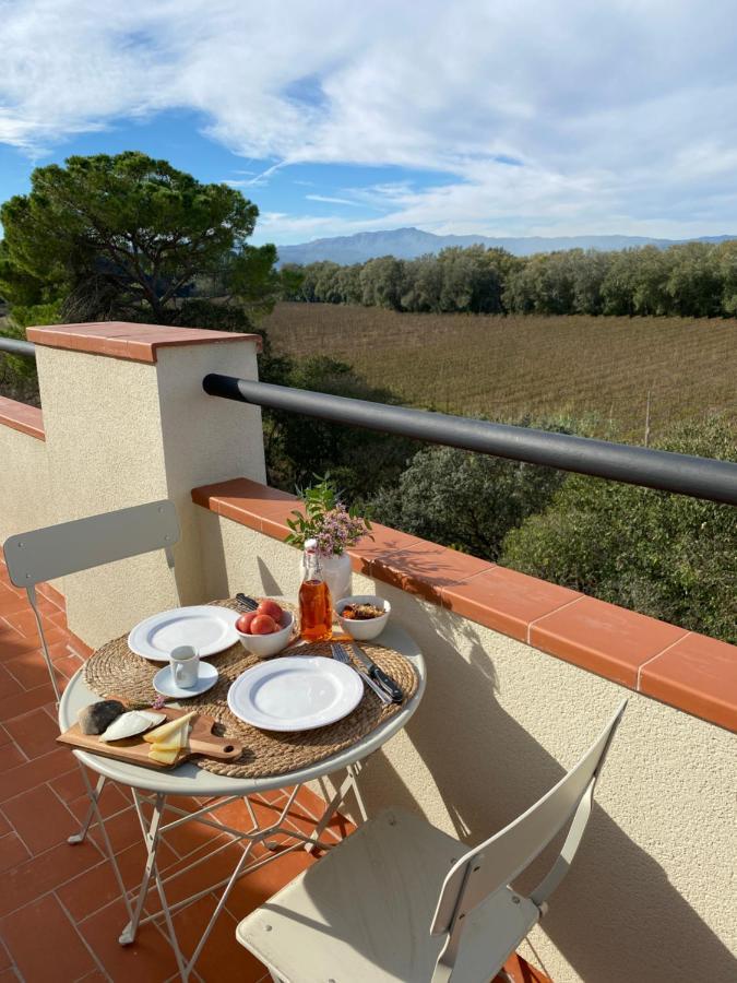 Hotel Rural Mas De L'Illa Tivissa Dış mekan fotoğraf