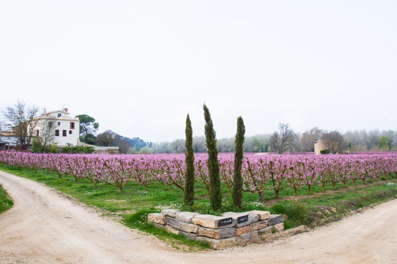 Hotel Rural Mas De L'Illa Tivissa Dış mekan fotoğraf